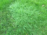 IMG_3384.webp