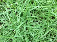 IMG_3386.webp