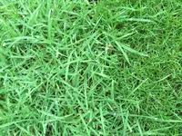 IMG_3385.webp