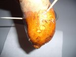 2016-02-17 Süsskartoffel orange1.JPG