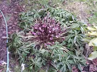 20160217_141402.webp