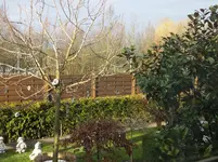DSCF9153.webp