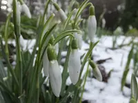 DSCF9156.webp