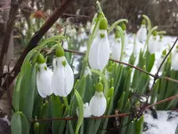 DSCF9163.webp