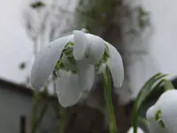 DSCF9168.webp