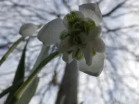 DSCF9206.webp
