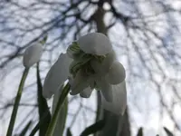 DSCF9200.webp