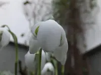 DSCF9170.webp