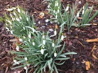 DSCF9174.webp