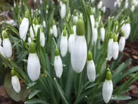 DSCF9185.webp