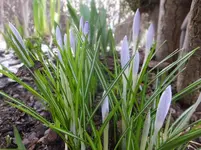 DSCF9158.webp