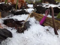 DSCF9194.webp