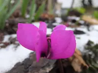 DSCF9197.webp