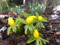 DSCF9186.webp