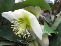 DSCF9179.webp