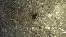 20160218_091402.jpg