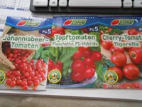 DSCN3548.webp