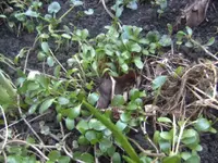 BILD4855.webp