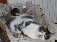 DSCF4036.webp