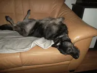SAM_0759.webp