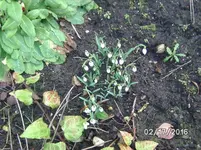 Schnee.webp