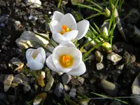 DSCN0032.webp