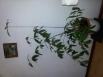 20160220_161813.jpg
