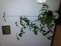 20160220_161813.webp