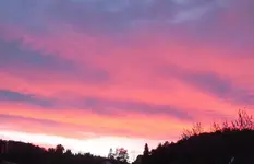 DSCF5338 (3).webp