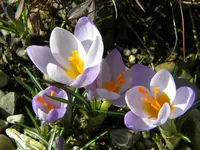 DSCN0096.webp