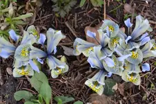 DSC_9373.webp