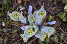 DSC_9374.webp