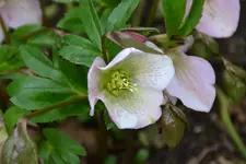 DSC_9392.jpg