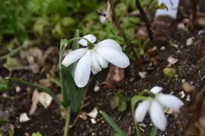DSC_9410.webp