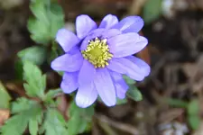 DSC_9434.webp