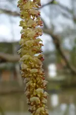 P1080550.webp