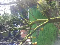 20160223_163022.jpg