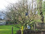 20160223_163035.jpg