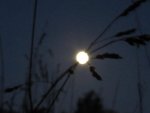 Vollmond, Febr. 2016 (4).JPG