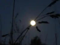 Vollmond, Febr. 2016 (4).webp