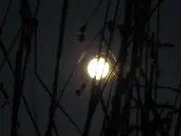 Vollmond, Febr. 2016 (5).webp