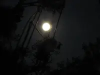 Vollmond, Febr. 2016 (6).JPG