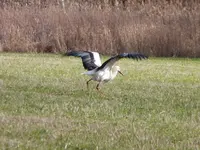 P1030911.webp
