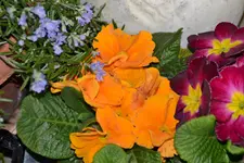 DSC_9989.webp