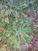 IMG_20160224_175917.webp