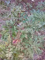 IMG_20160224_175908.webp