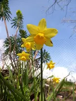 P1030830.webp
