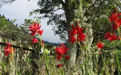 2015_04_29Garten home (1)v.webp