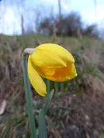 P1030941.webp