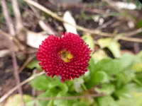 P1030600.webp